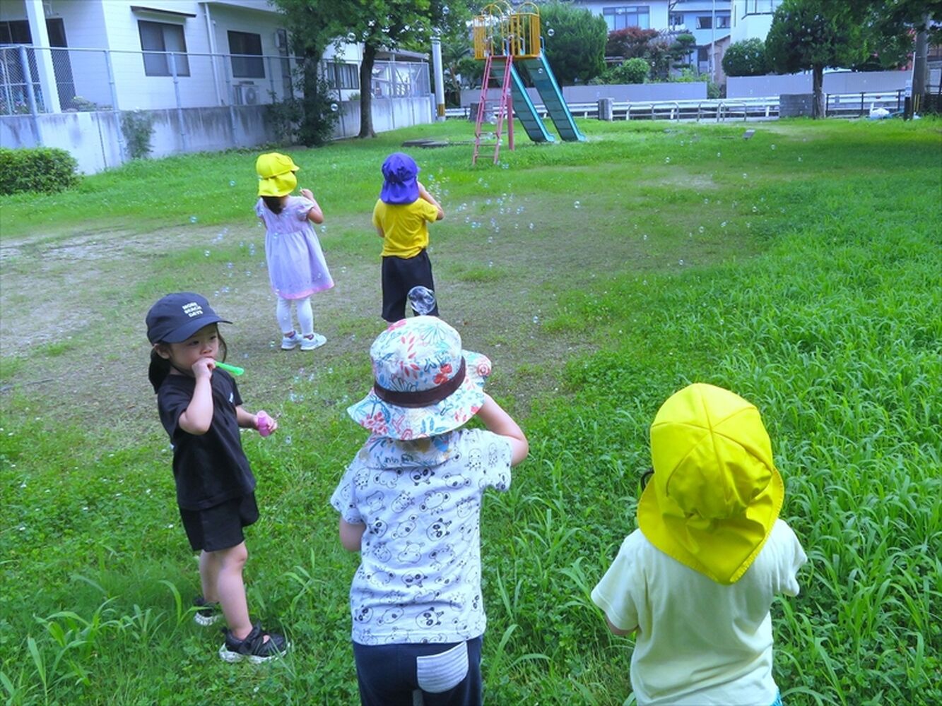 画像2578