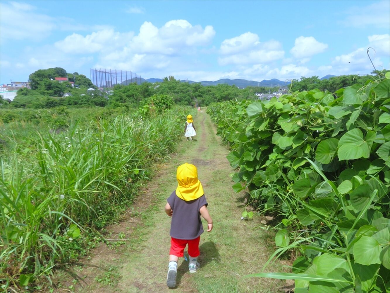 画像2688