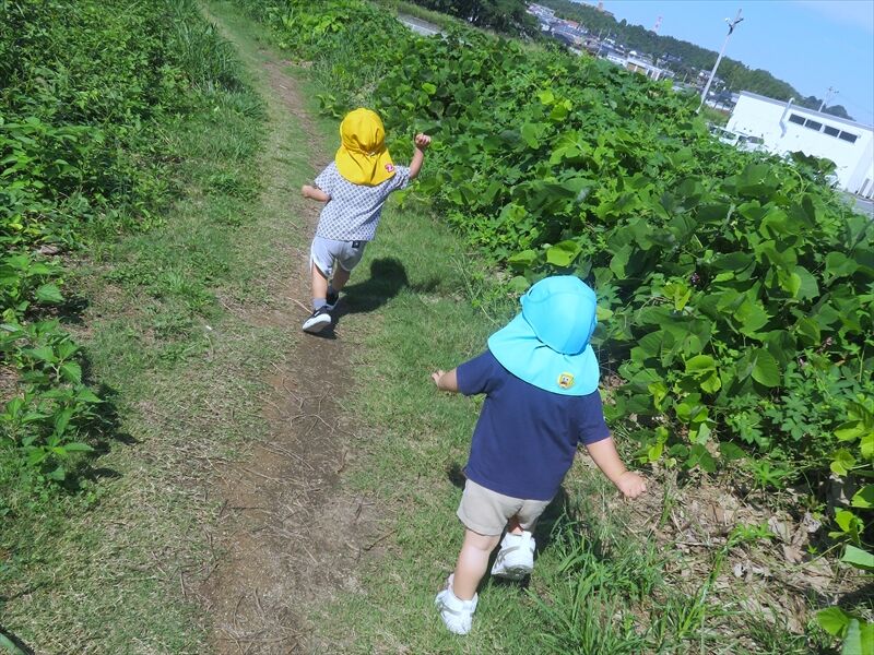 お散歩♬お散歩♬