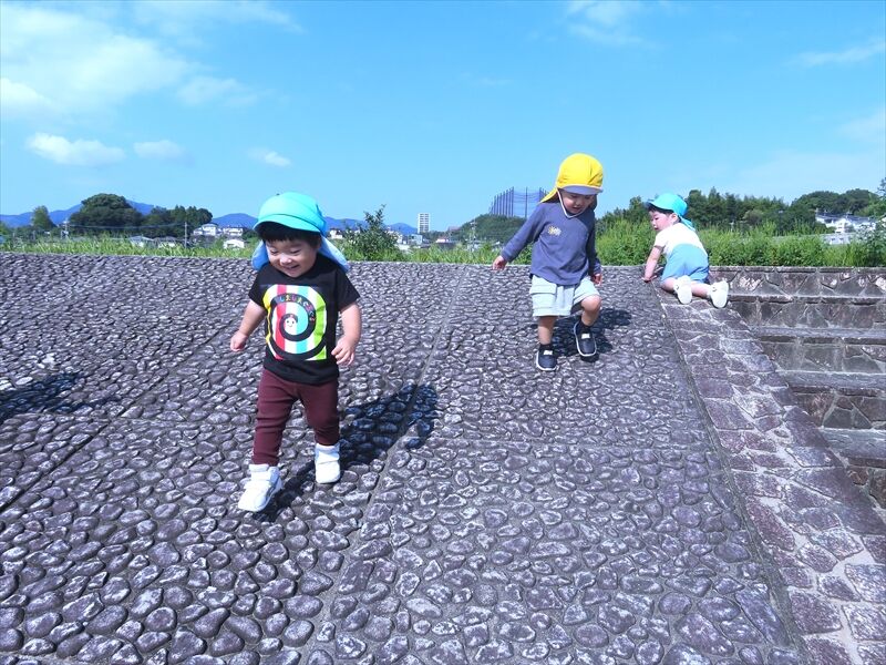 秋の自然に触れながらお散歩♬